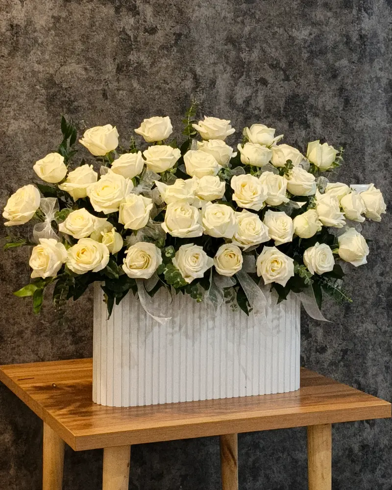 باکس گل رز مینیاتوری سفید